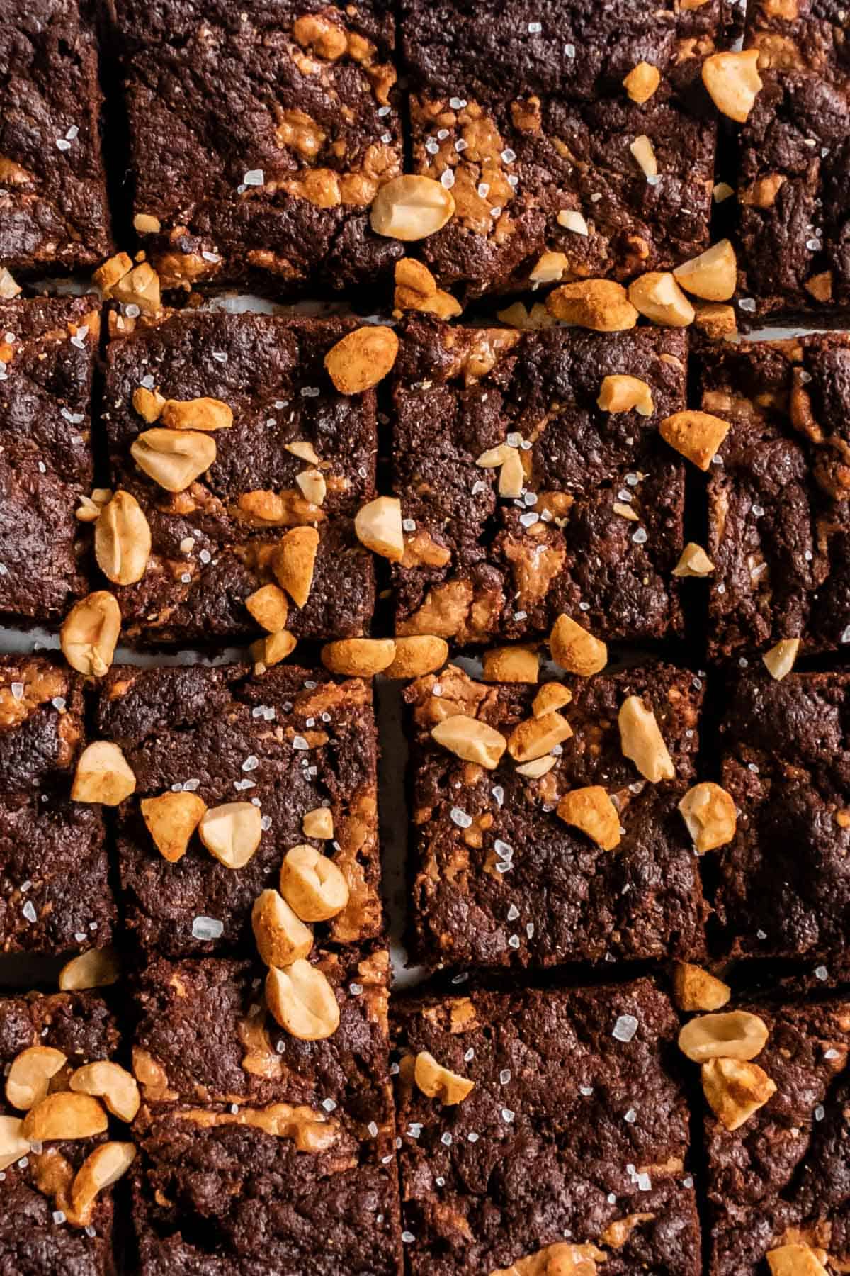 fudgy brownies topped with peanuts