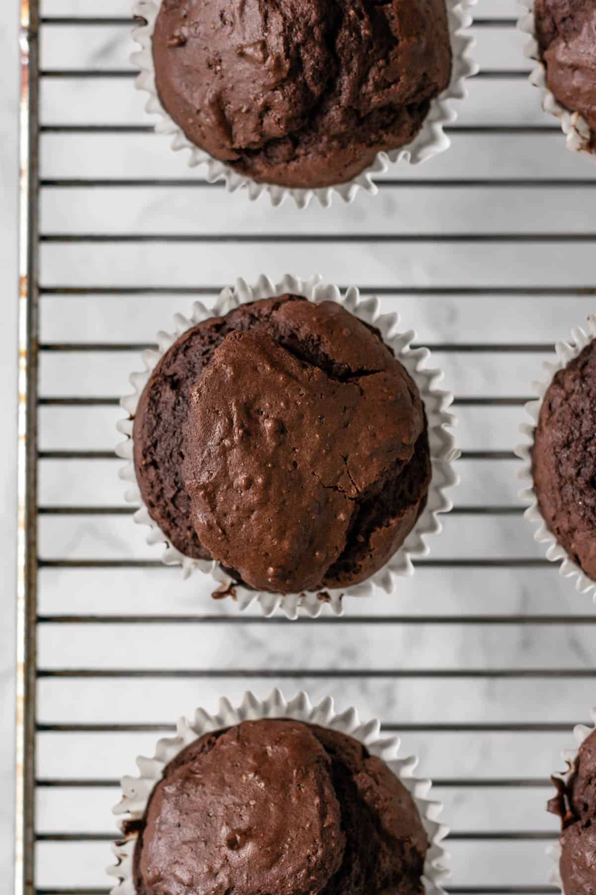 baked chocolate cupcakes fresh from the oven