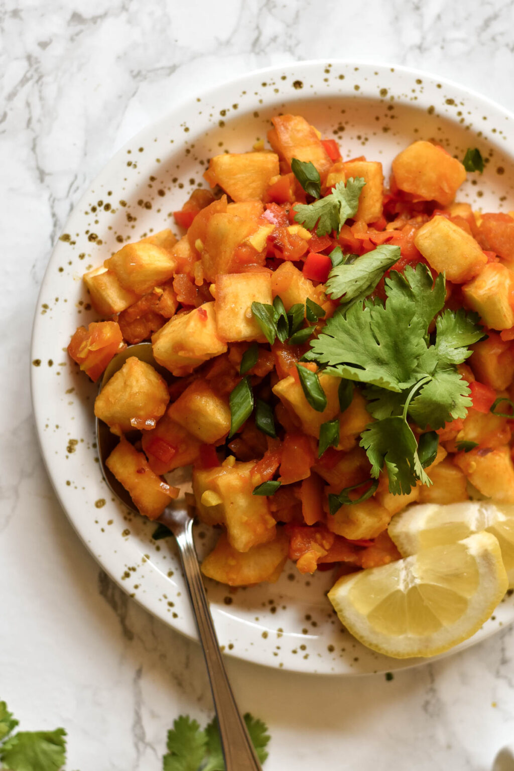 Chilli Mogo Shivani Loves Food