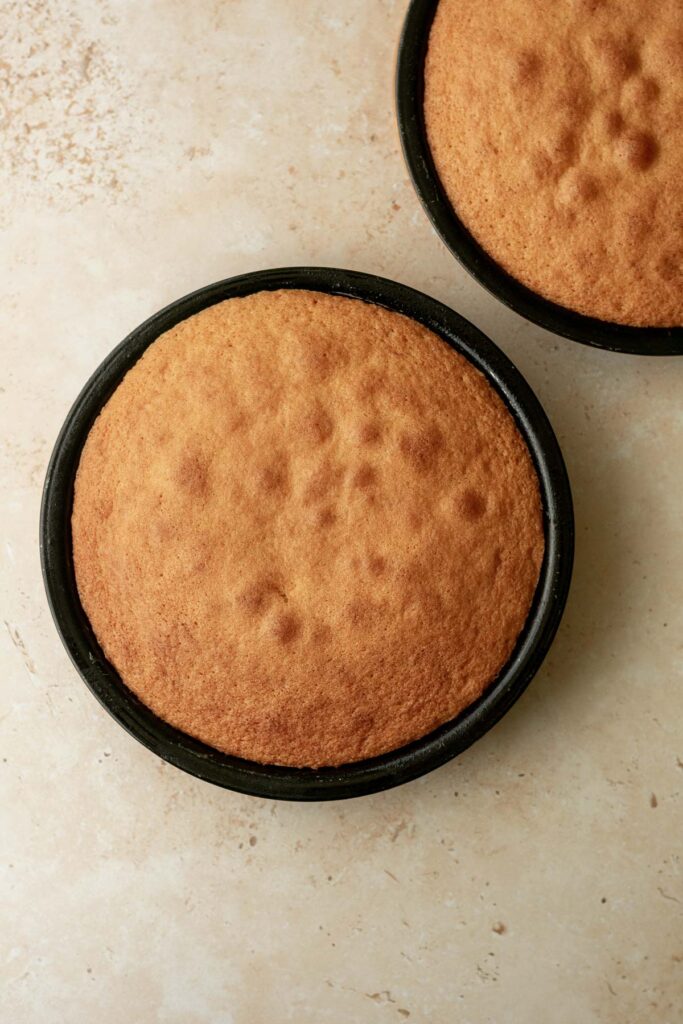 two baked cakes in their tins