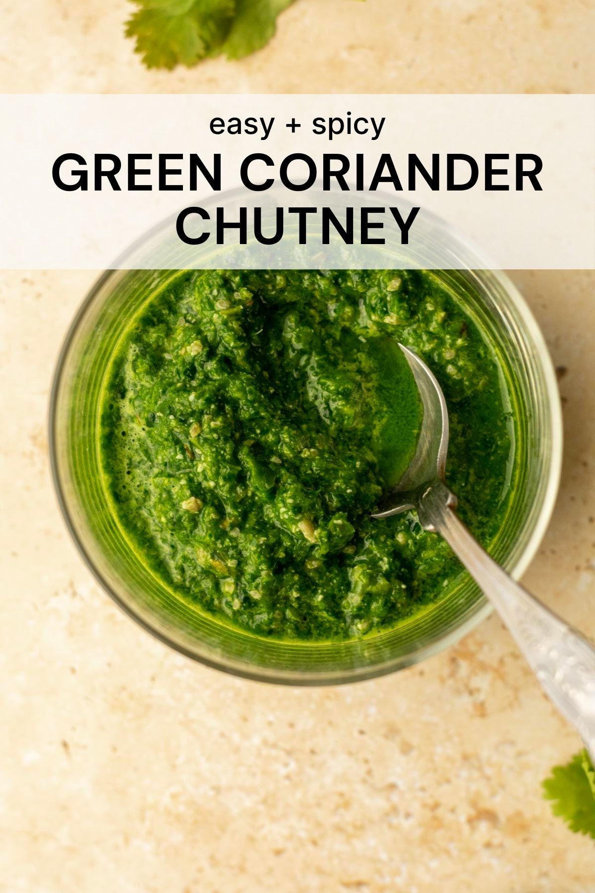 Easy Green Coriander Chutney Shivani Loves Food